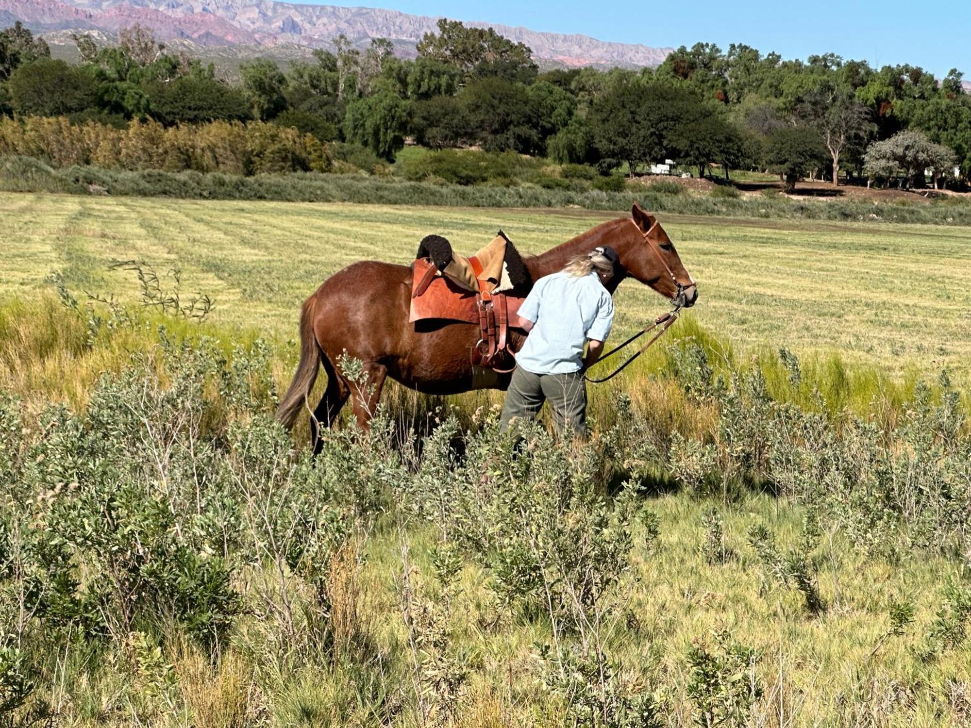 Estancia Banda Grande - Horse & Hiking Safaris Molinos Εξωτερικό φωτογραφία