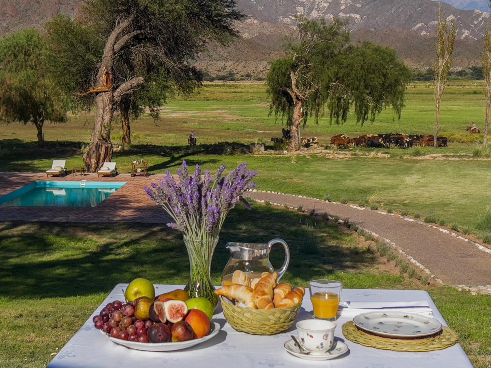 Estancia Banda Grande - Horse & Hiking Safaris Molinos Εξωτερικό φωτογραφία